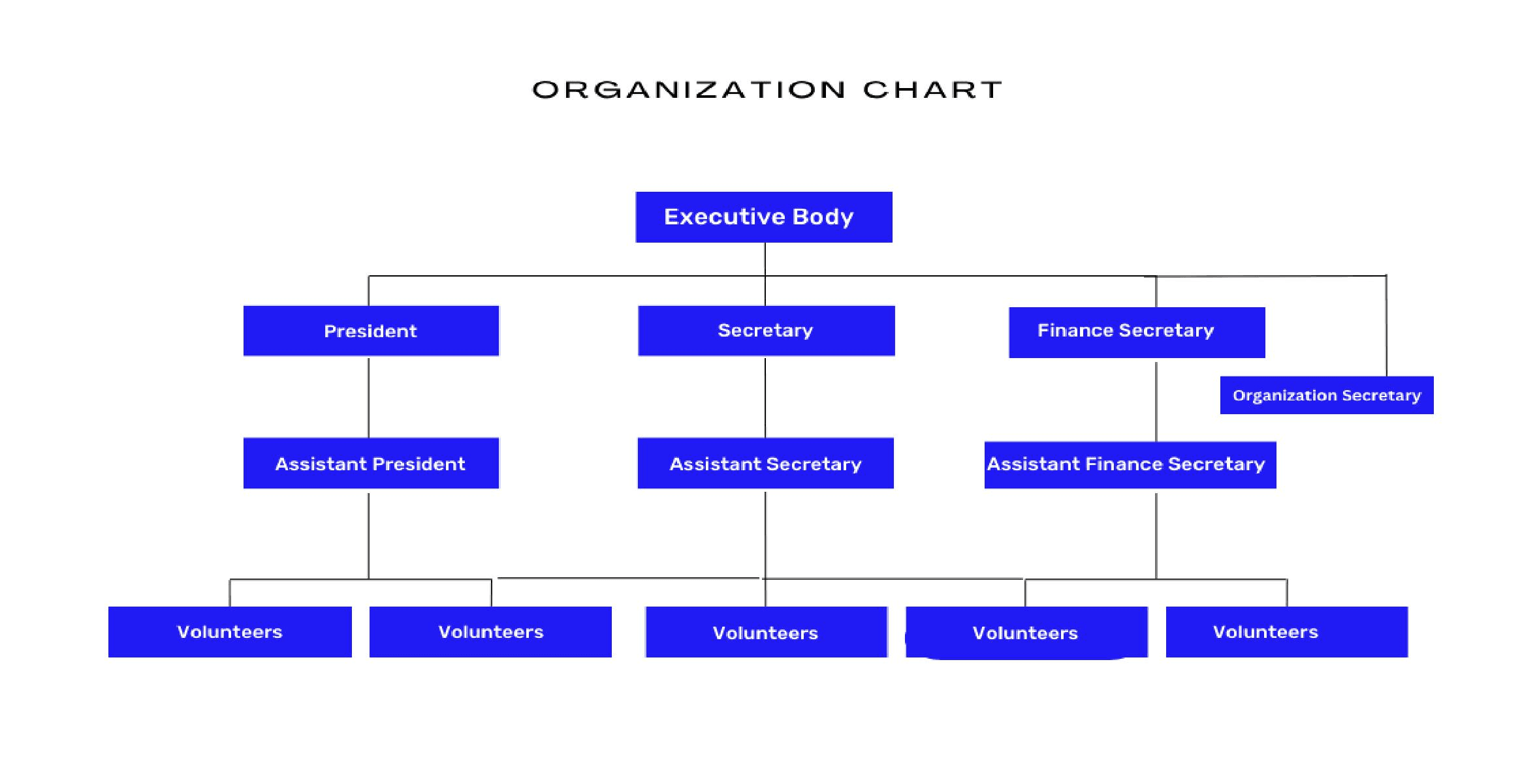 Organisation Chart